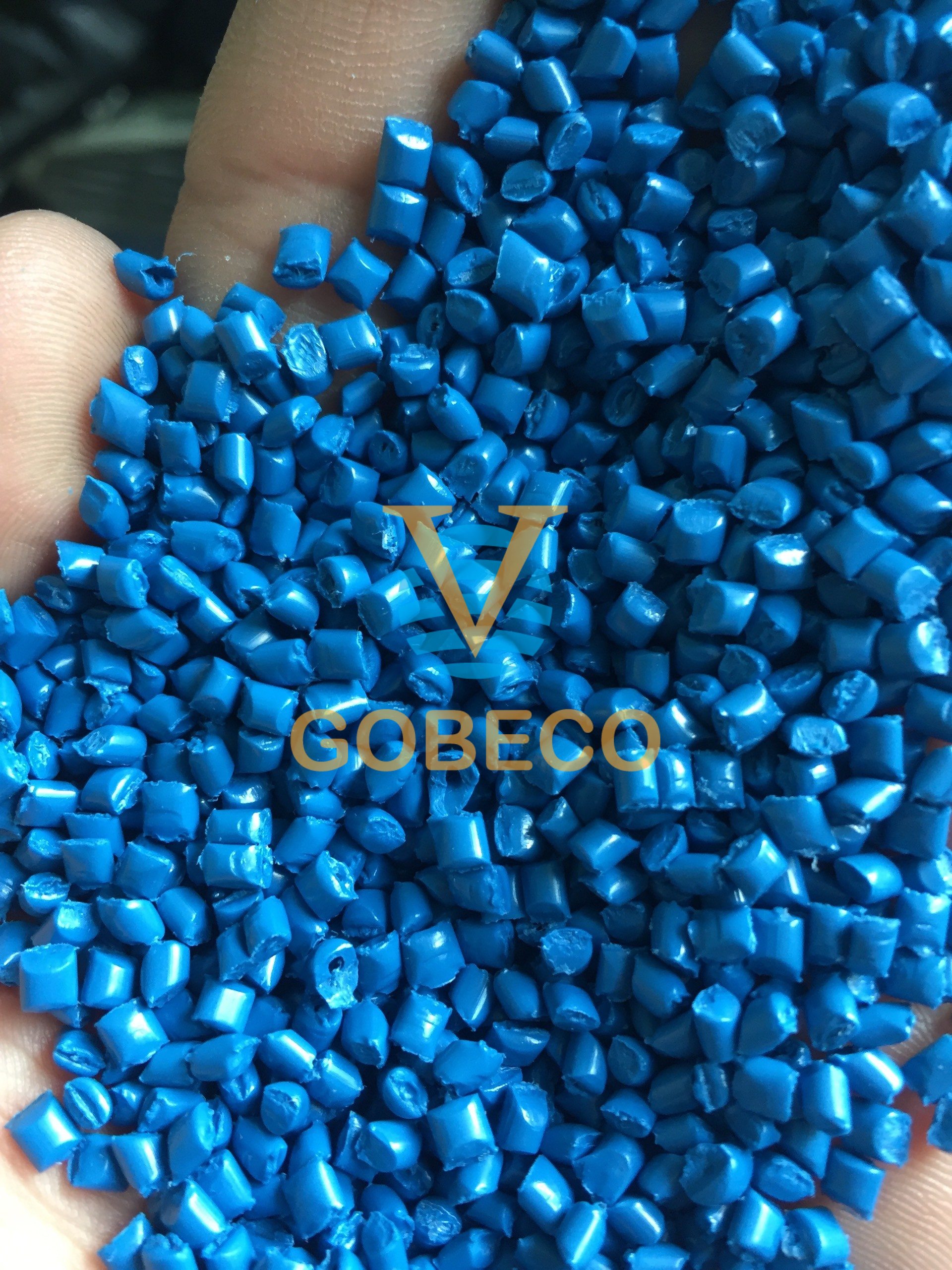 Hạt nhựa tái sinh PP xanh dương